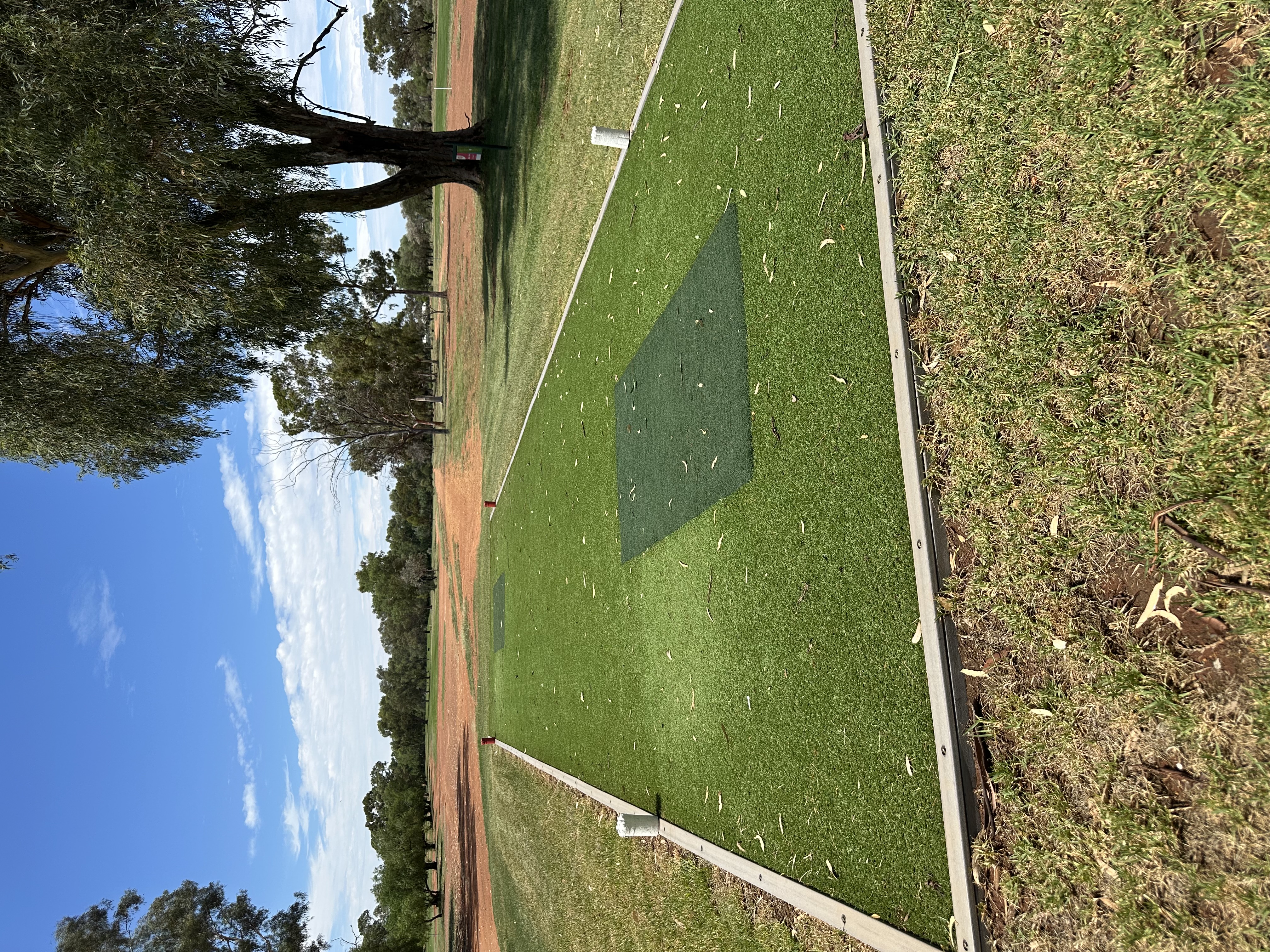 Synthetic teeing mats